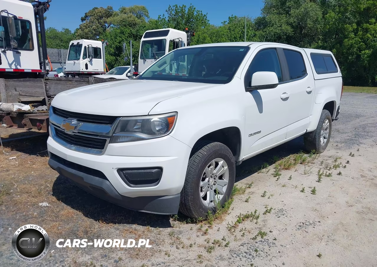 2019 Chevrolet Colorado Lt VIN:1GCGSCEN7K1173879 - 2