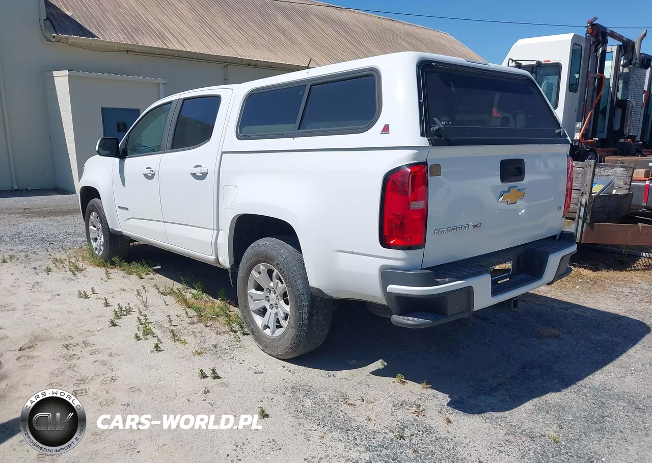2019 Chevrolet Colorado Lt VIN:1GCGSCEN7K1173879 - 3