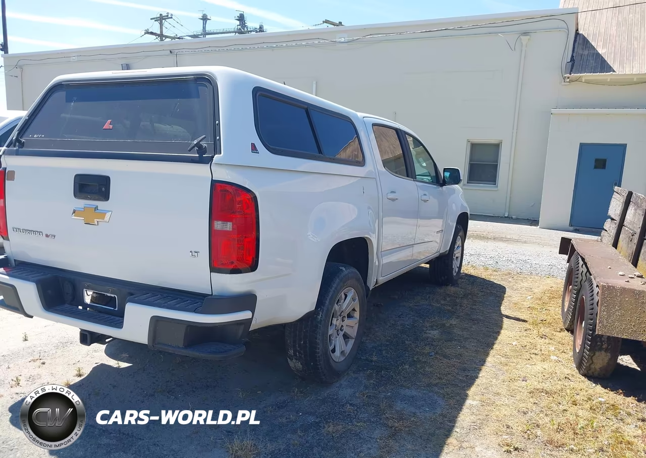 2019 Chevrolet Colorado Lt VIN:1GCGSCEN7K1173879 - 4