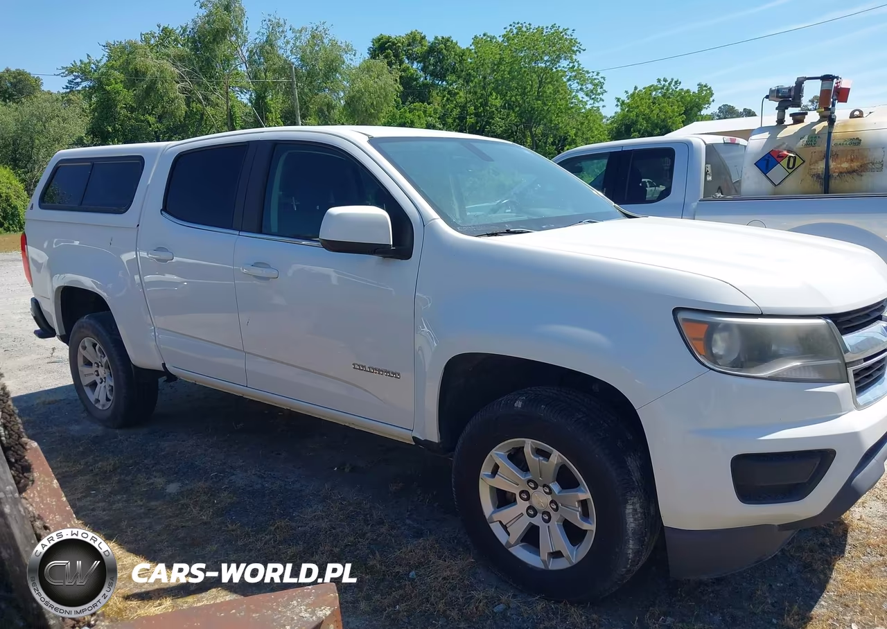 2019 Chevrolet Colorado Lt VIN:1GCGSCEN7K1173879 - 6