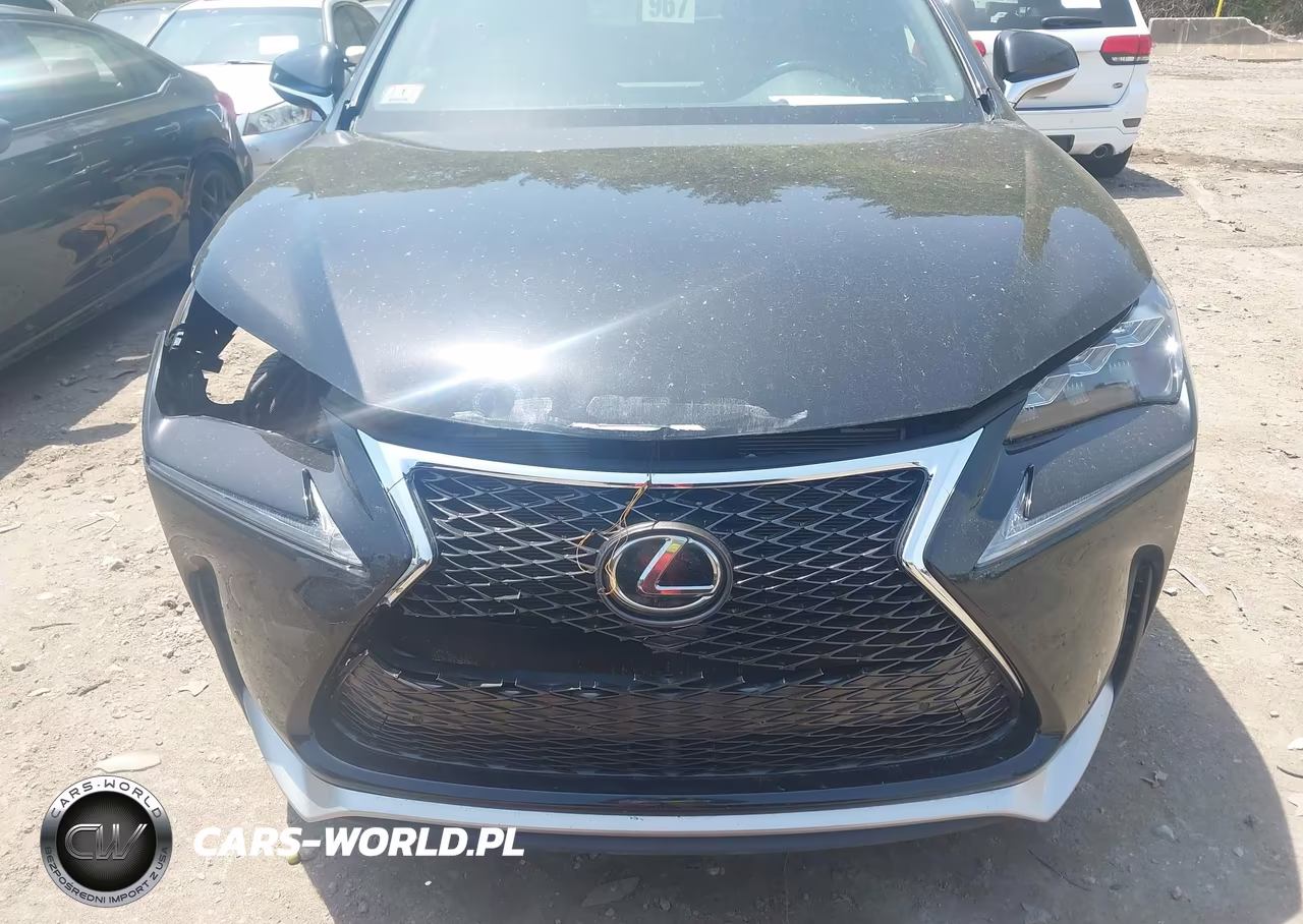 2017 Lexus Nx 200T F Sport VIN:JTJBARBZ3H2103349 - 13
