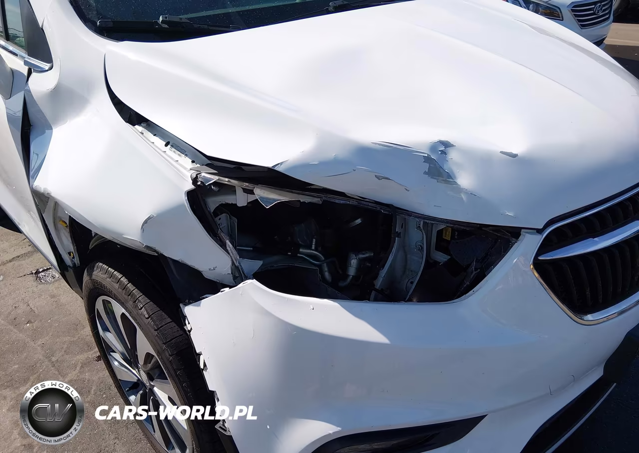 2019 Buick Encore Awd Essence VIN:KL4CJGSM6KB768490 - 17