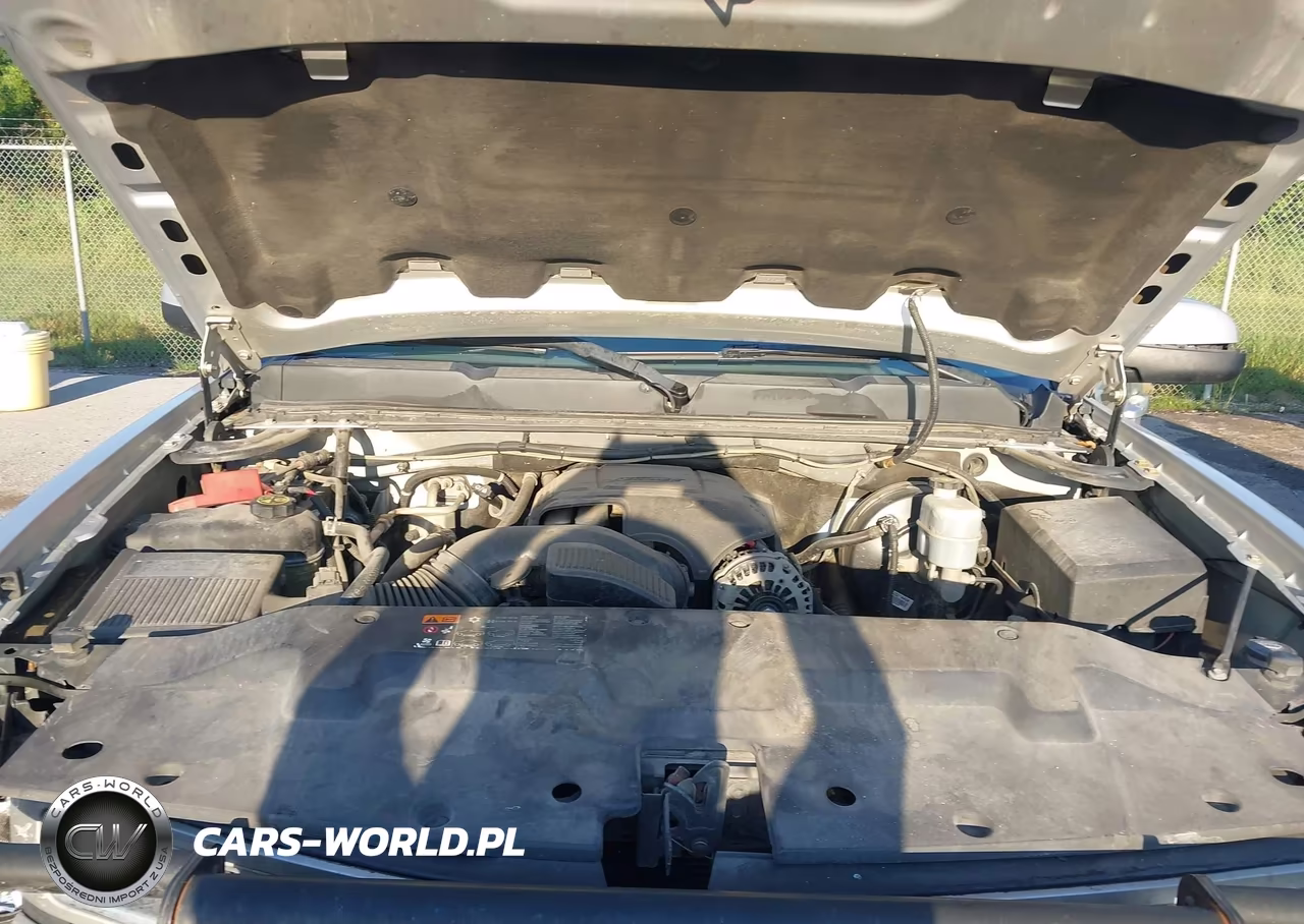 2013 Chevrolet Silverado 1500 Lt VIN:3GCPKSE70DG156096 - 10