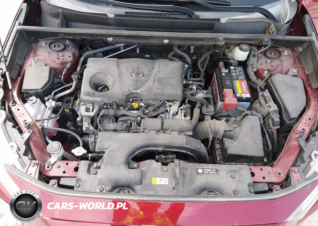 2019 Toyota Rav4 Xle VIN:JTMP1RFV1KD015900 - 10
