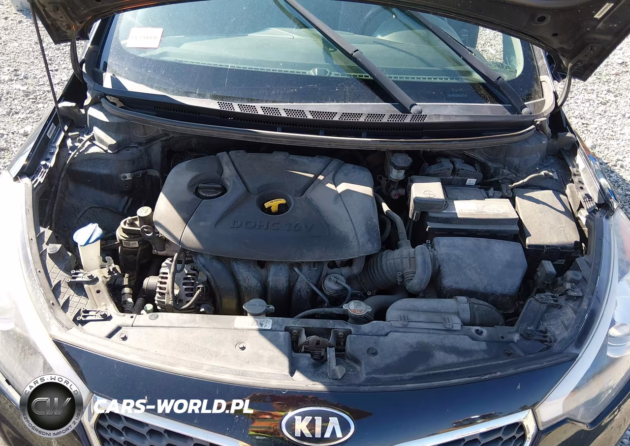 2015 Kia Forte Lx VIN:KNAFK4A63F5320601 - 10