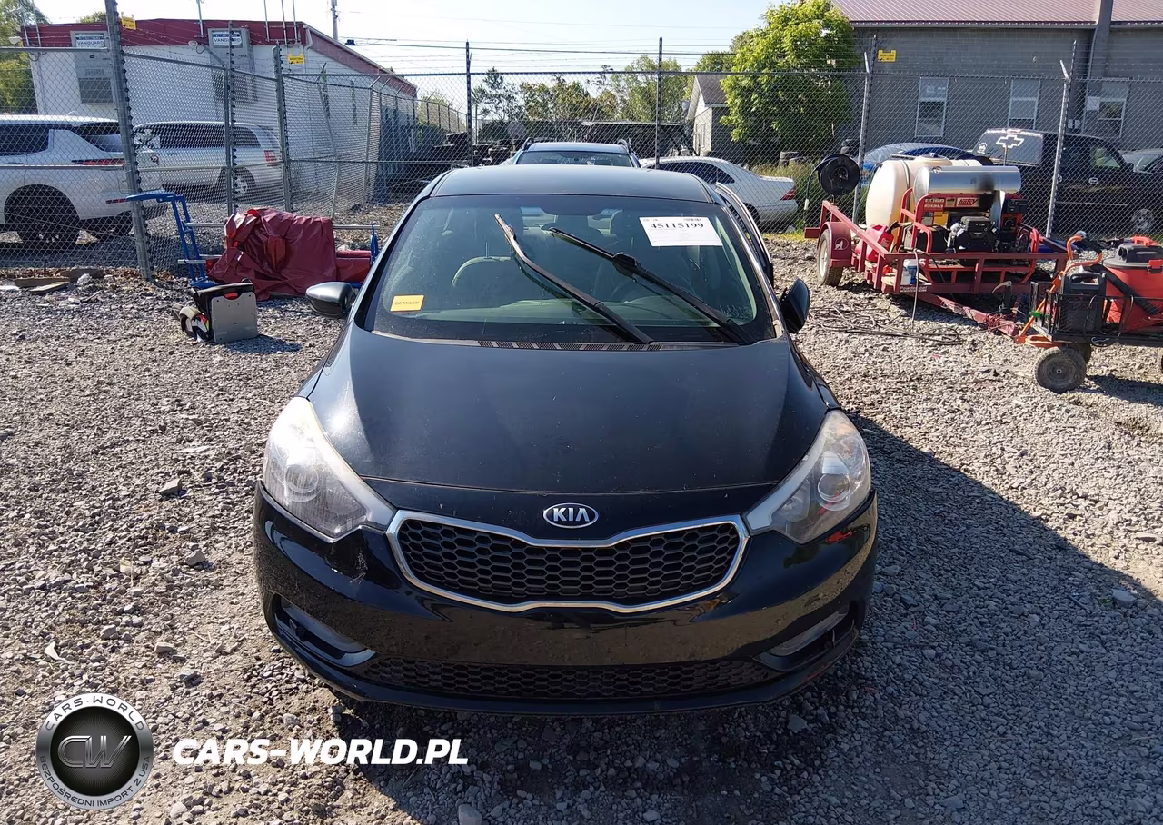2015 Kia Forte Lx VIN:KNAFK4A63F5320601 - 12