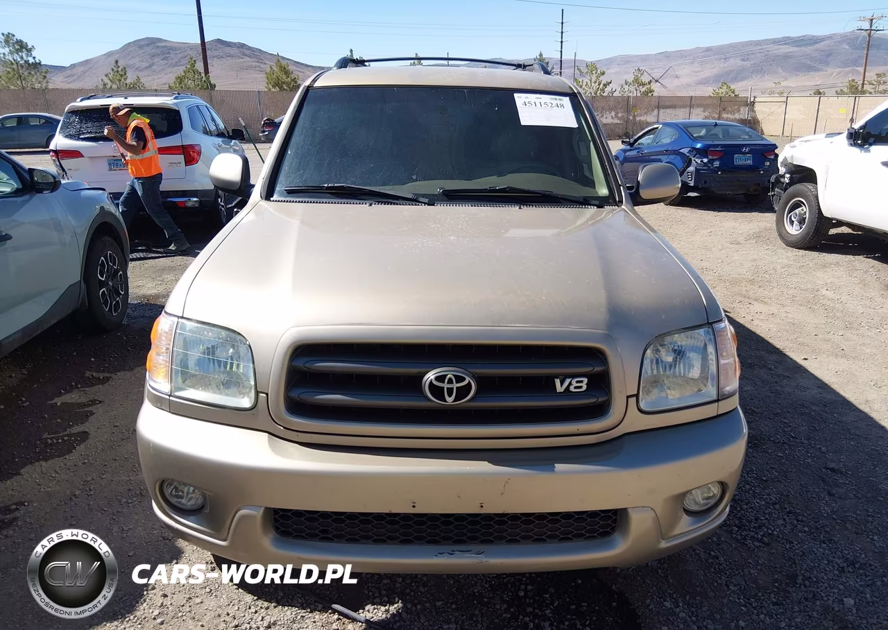 2002 Toyota Sequoia Sr5 V8 VIN:5TDBT44A52S134450 - 12