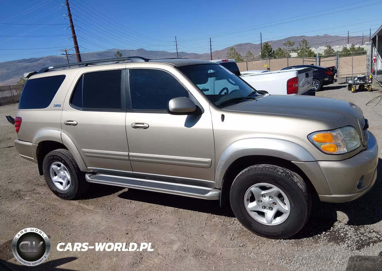 2002 Toyota Sequoia Sr5 V8 VIN:5TDBT44A52S134450 - 13