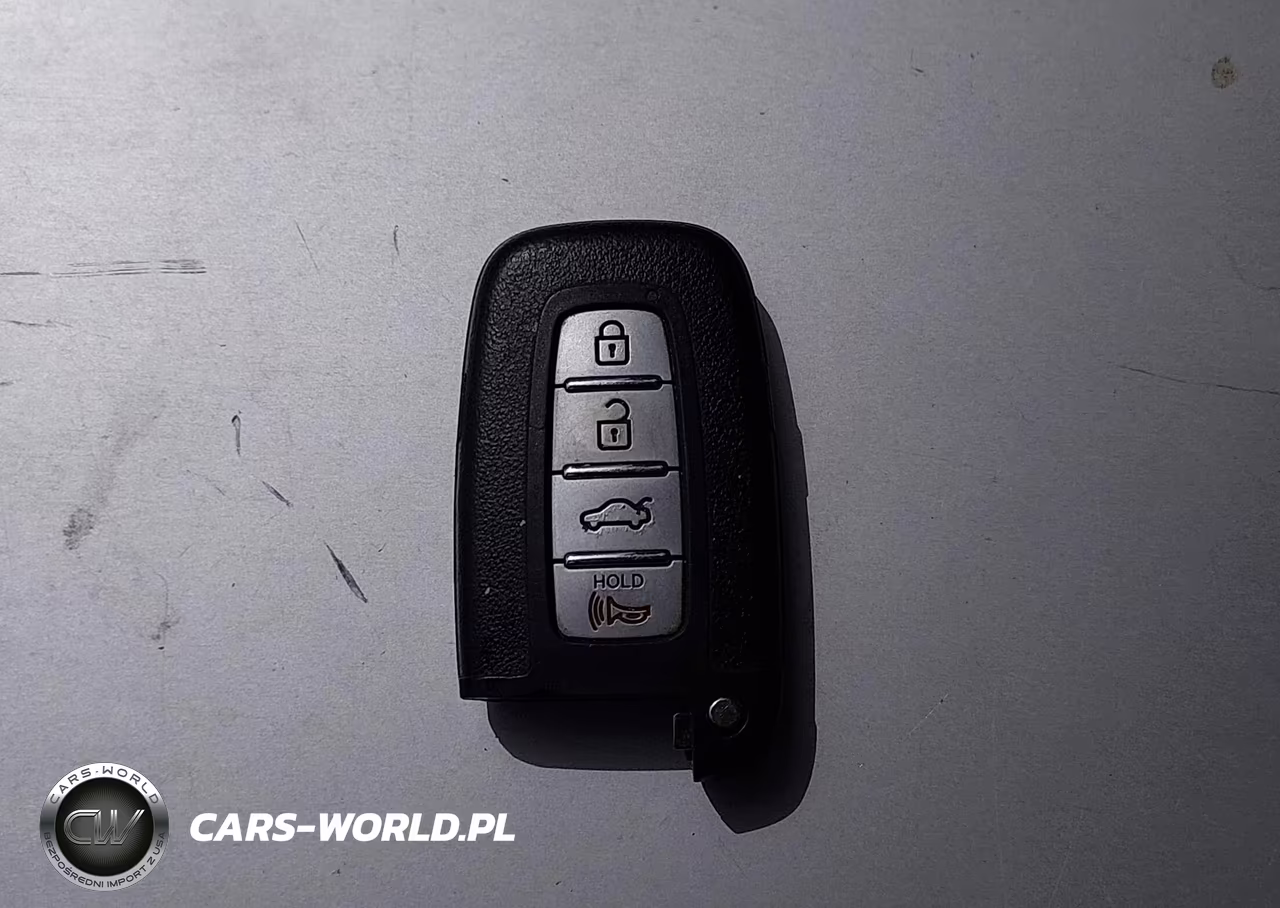 2009 Hyundai Genesis 4.6 VIN:KMHGC46F79U059430 - 11
