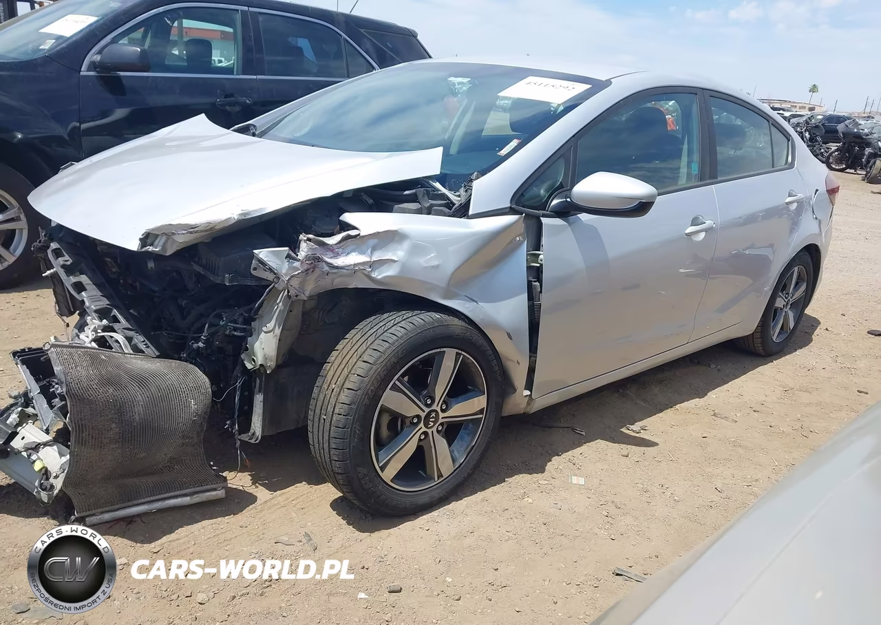 2018 Kia Forte Lx VIN:3KPFL4A7XJE169939 - 2