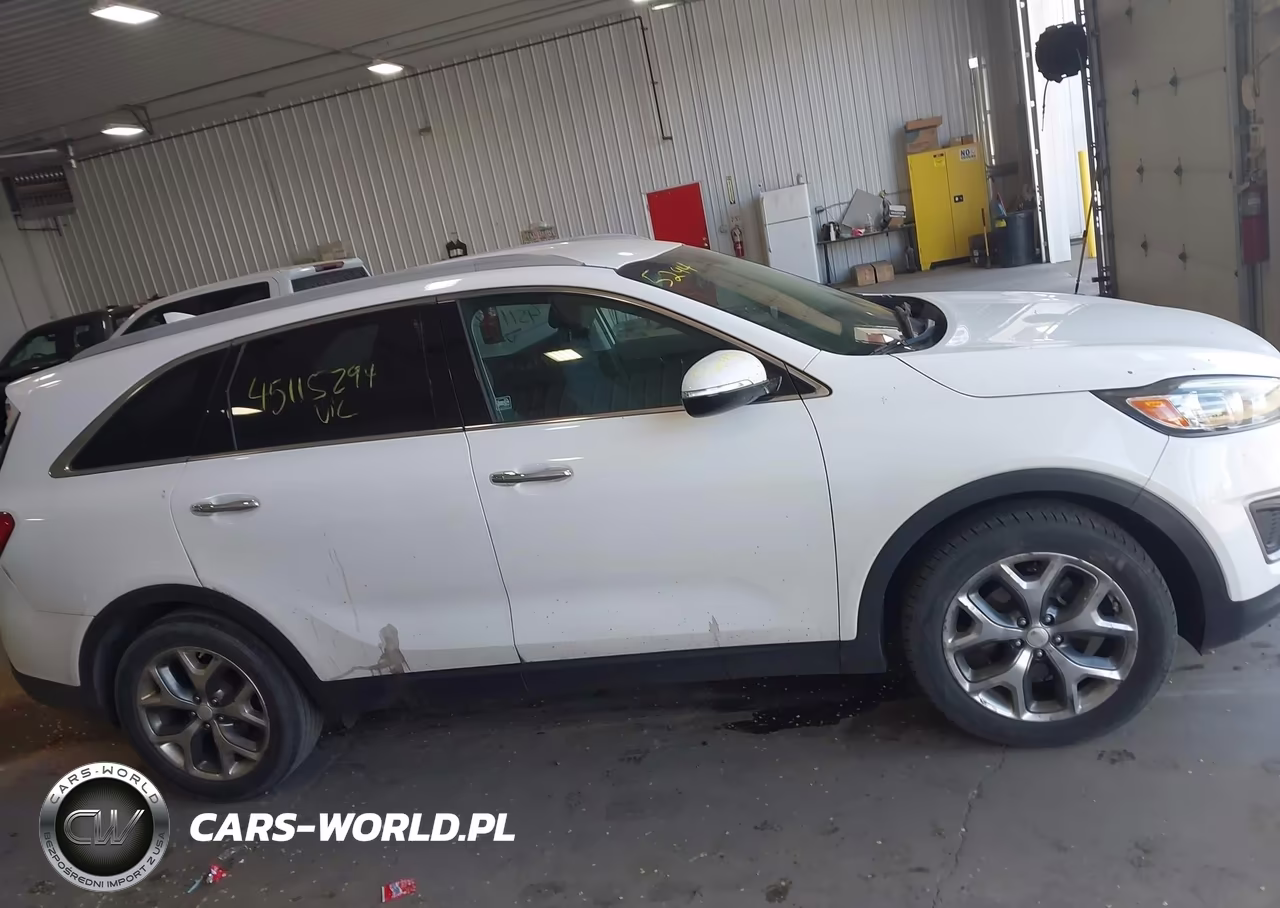 2016 Kia Sorento 2.4L Lx VIN:5XYPG4A37GG023354 - 13