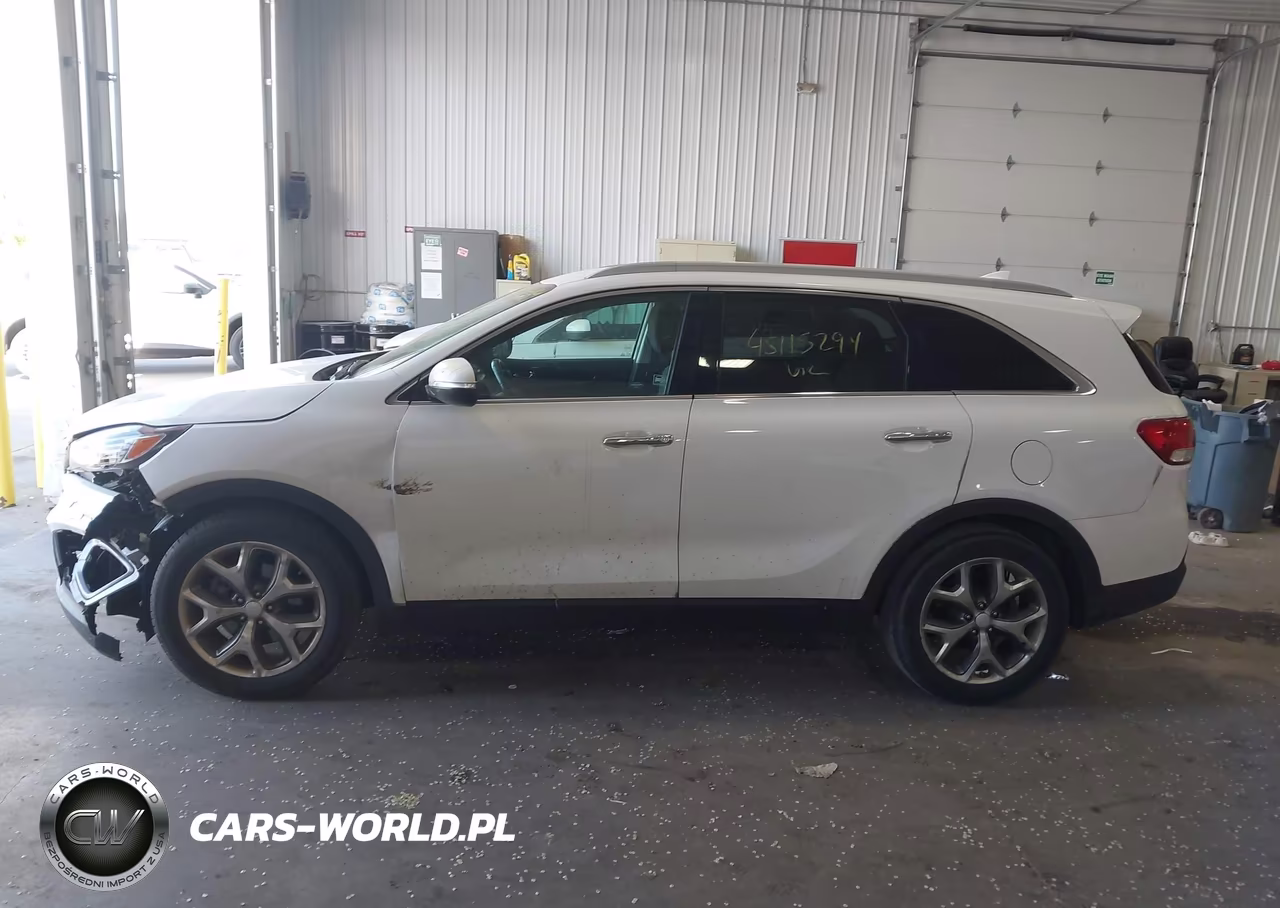2016 Kia Sorento 2.4L Lx VIN:5XYPG4A37GG023354 - 14