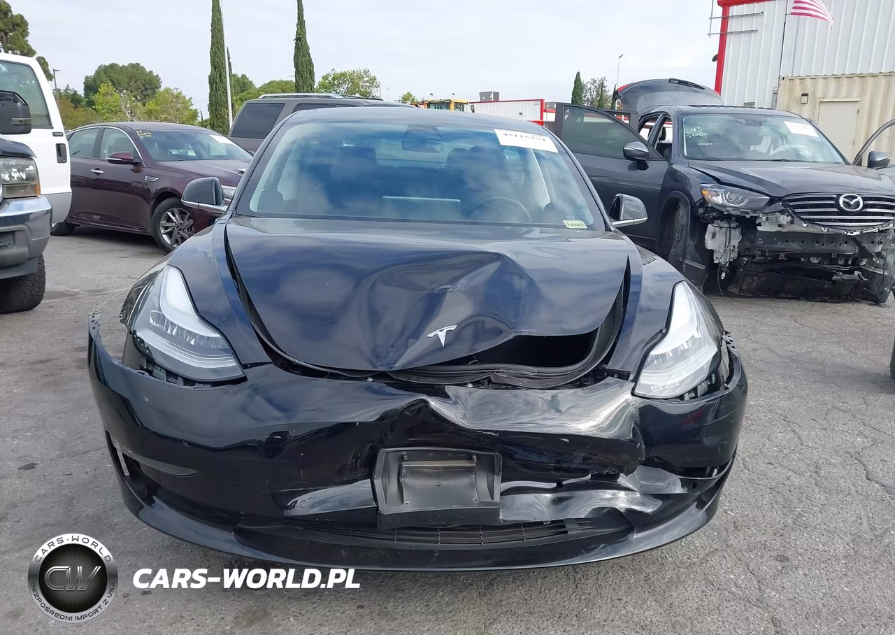2019 Tesla Model 3 Long Range-Mid Range-Standard Range-Standard Range Plus VIN:5YJ3E1EA3KF409782 - 11
