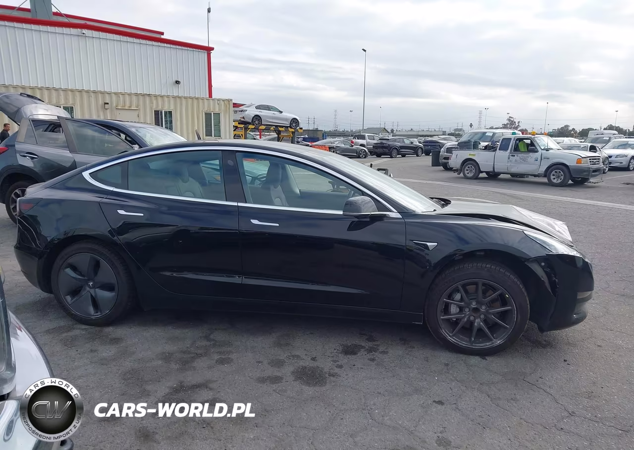 2019 Tesla Model 3 Long Range-Mid Range-Standard Range-Standard Range Plus VIN:5YJ3E1EA3KF409782 - 12