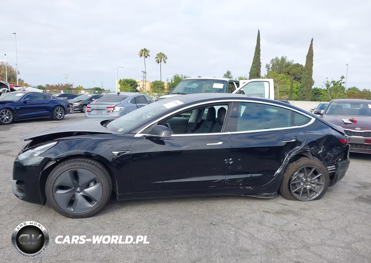 2019 Tesla Model 3 Long Range-Mid Range-Standard Range-Standard Range Plus VIN:5YJ3E1EA3KF409782 - 13