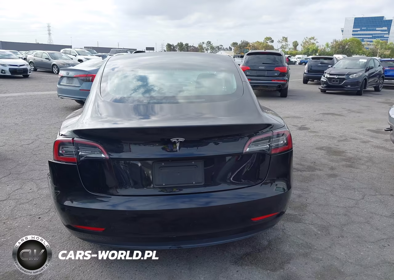 2019 Tesla Model 3 Long Range-Mid Range-Standard Range-Standard Range Plus VIN:5YJ3E1EA3KF409782 - 15