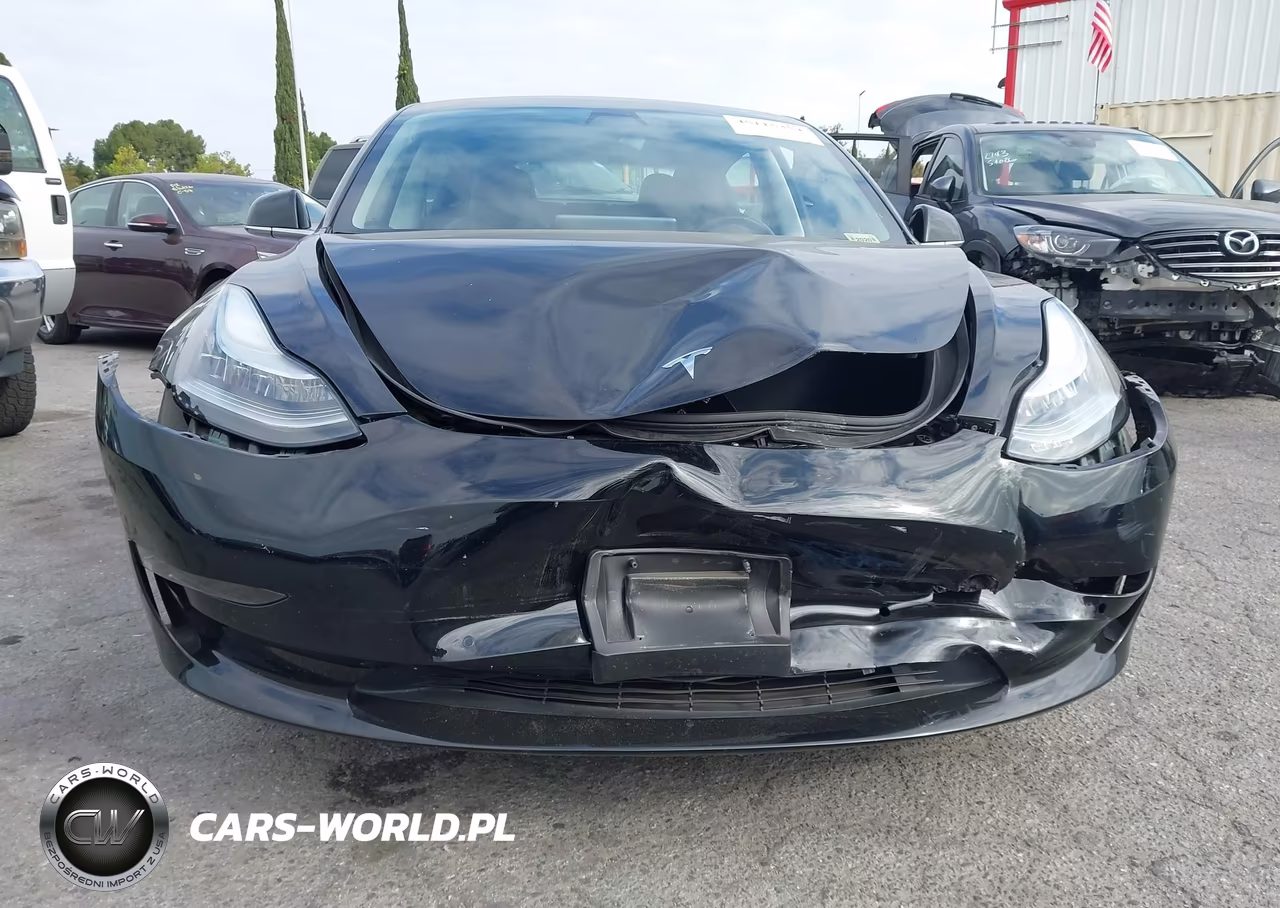 2019 Tesla Model 3 Long Range-Mid Range-Standard Range-Standard Range Plus VIN:5YJ3E1EA3KF409782 - 18
