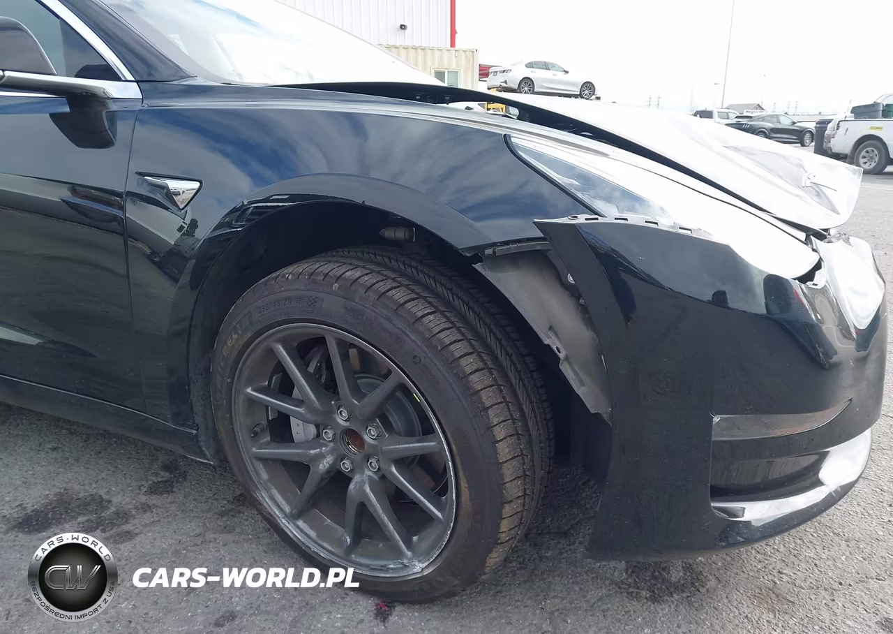 2019 Tesla Model 3 Long Range-Mid Range-Standard Range-Standard Range Plus VIN:5YJ3E1EA3KF409782 - 19