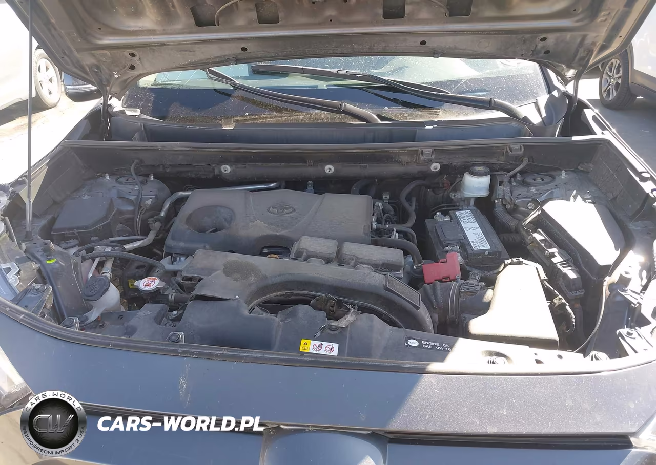 2019 Toyota Rav4 Xle VIN:2T3W1RFV9KC008256 - 10