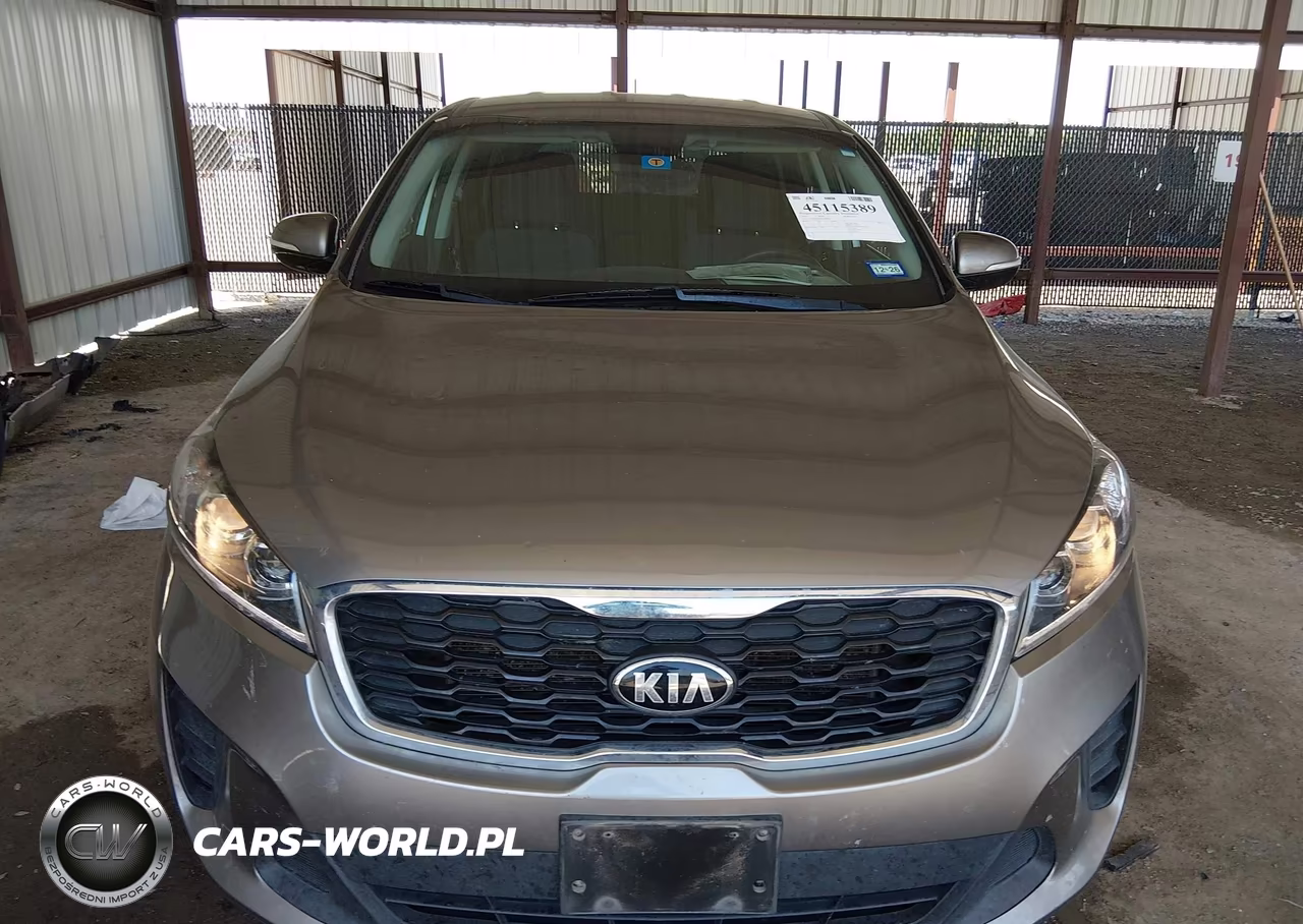 2019 Kia Sorento 3.3L Lx VIN:5XYPGDA54KG480858 - 12