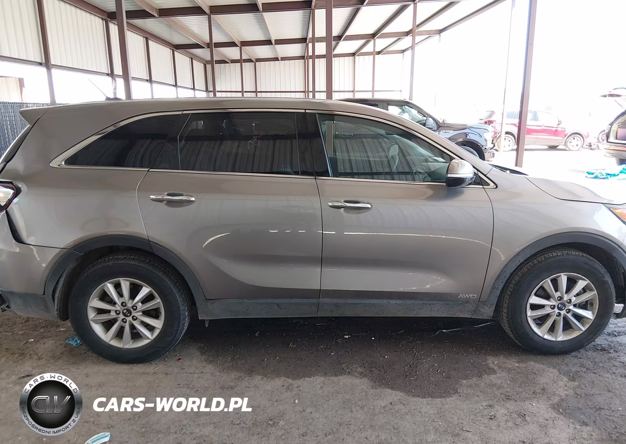 2019 Kia Sorento 3.3L Lx VIN:5XYPGDA54KG480858 - 13