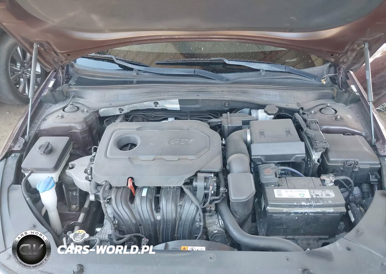 2020 Kia Optima Lx VIN:5XXGT4L38LG392084 - 10
