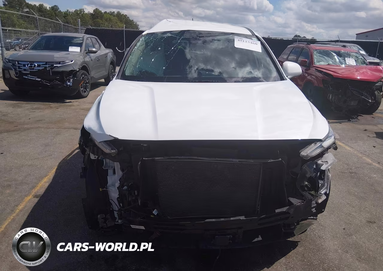 2019 Hyundai Santa Fe Se VIN:5NMS23AD7KH110181 - 13