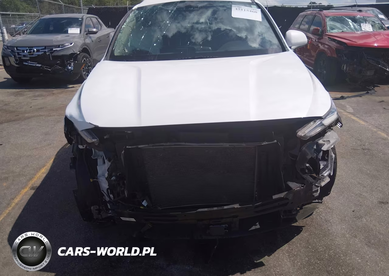 2019 Hyundai Santa Fe Se VIN:5NMS23AD7KH110181 - 18