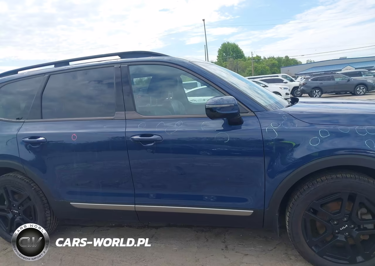 2023 Kia Telluride Sx Prestige X-Line VIN:5XYP5DGC4PG336603 - 13