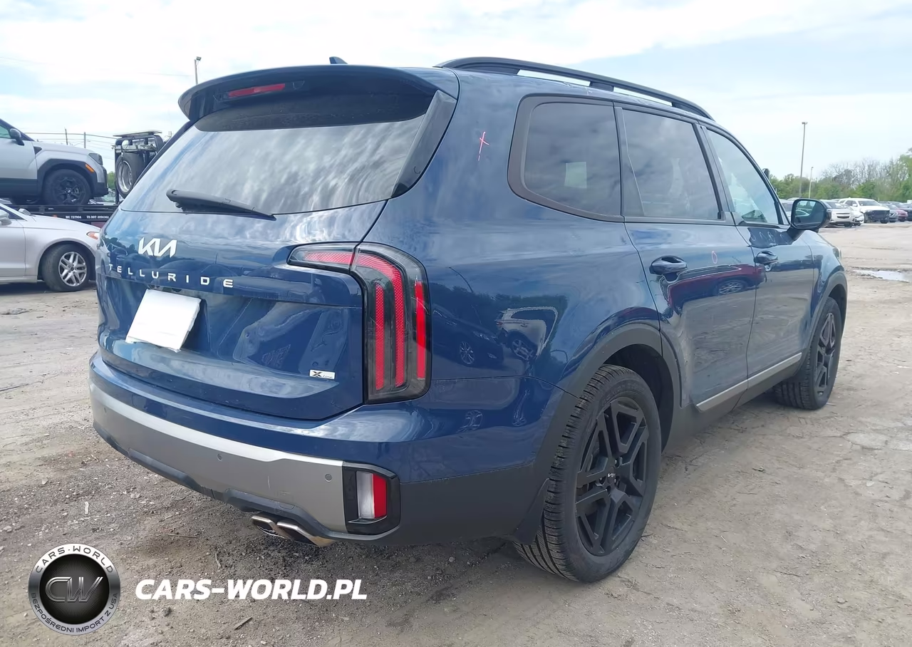 2023 Kia Telluride Sx Prestige X-Line VIN:5XYP5DGC4PG336603 - 4