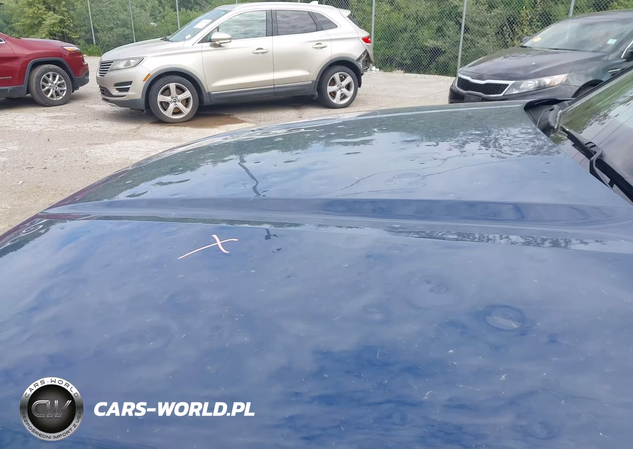 2023 Kia Telluride Sx Prestige X-Line VIN:5XYP5DGC4PG336603 - 6