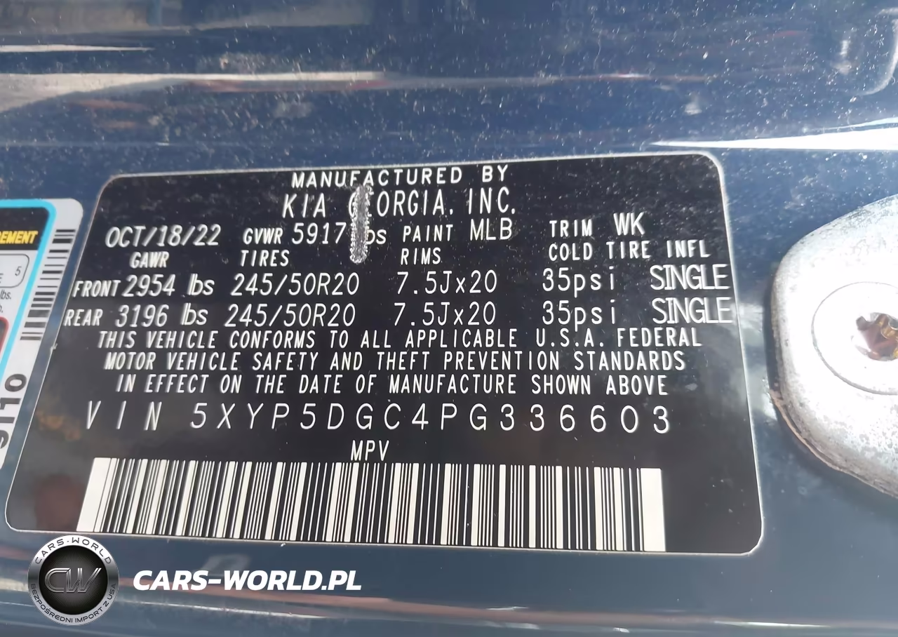 2023 Kia Telluride Sx Prestige X-Line VIN:5XYP5DGC4PG336603 - 9