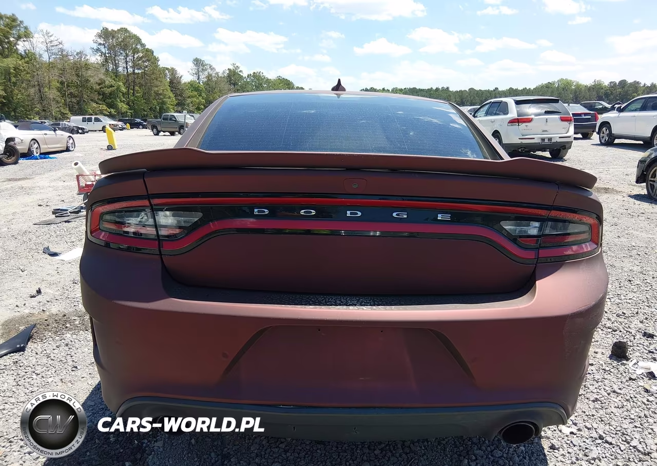 2019 Dodge Charger Scat Pack Rwd VIN:2C3CDXGJ9KH728363 - 17