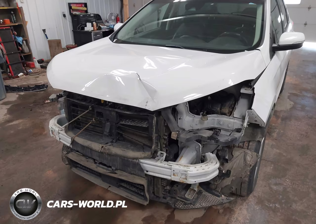 2019 Ford Edge Sel VIN:2FMPK4J96KBC75396 - 6