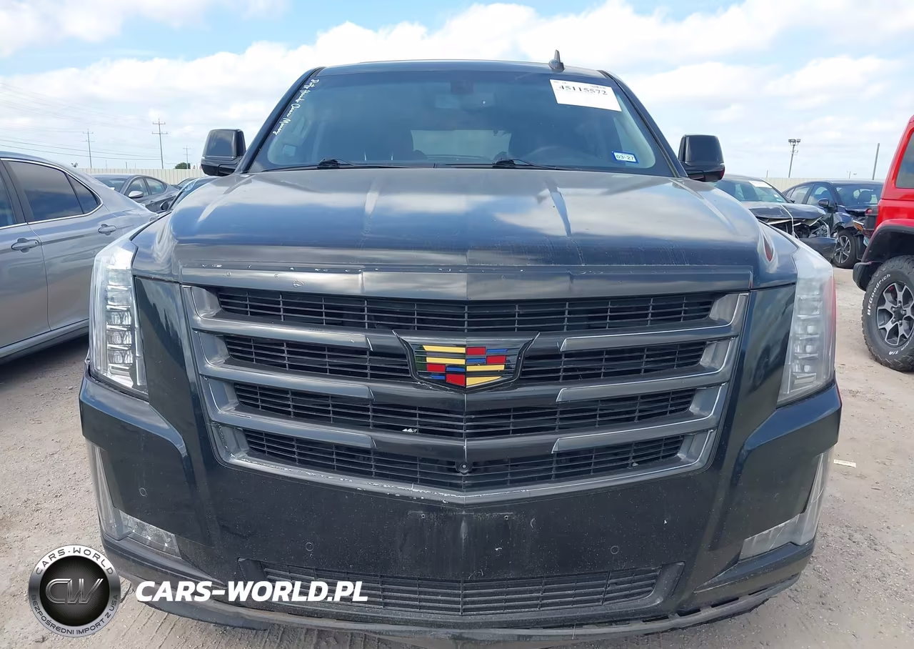 2016 Cadillac Escalade Standard VIN:1GYS3AKJ2GR248780 - 12