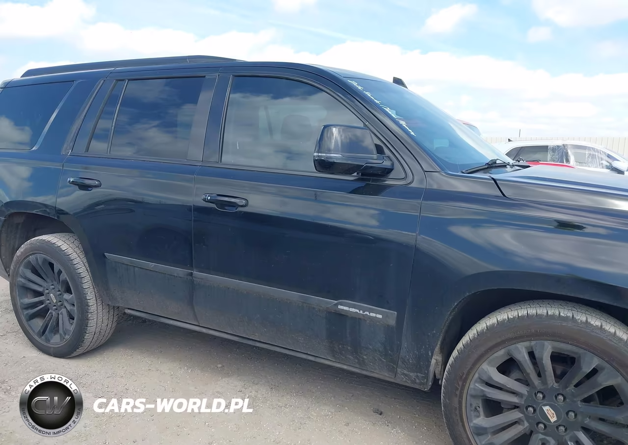 2016 Cadillac Escalade Standard VIN:1GYS3AKJ2GR248780 - 13