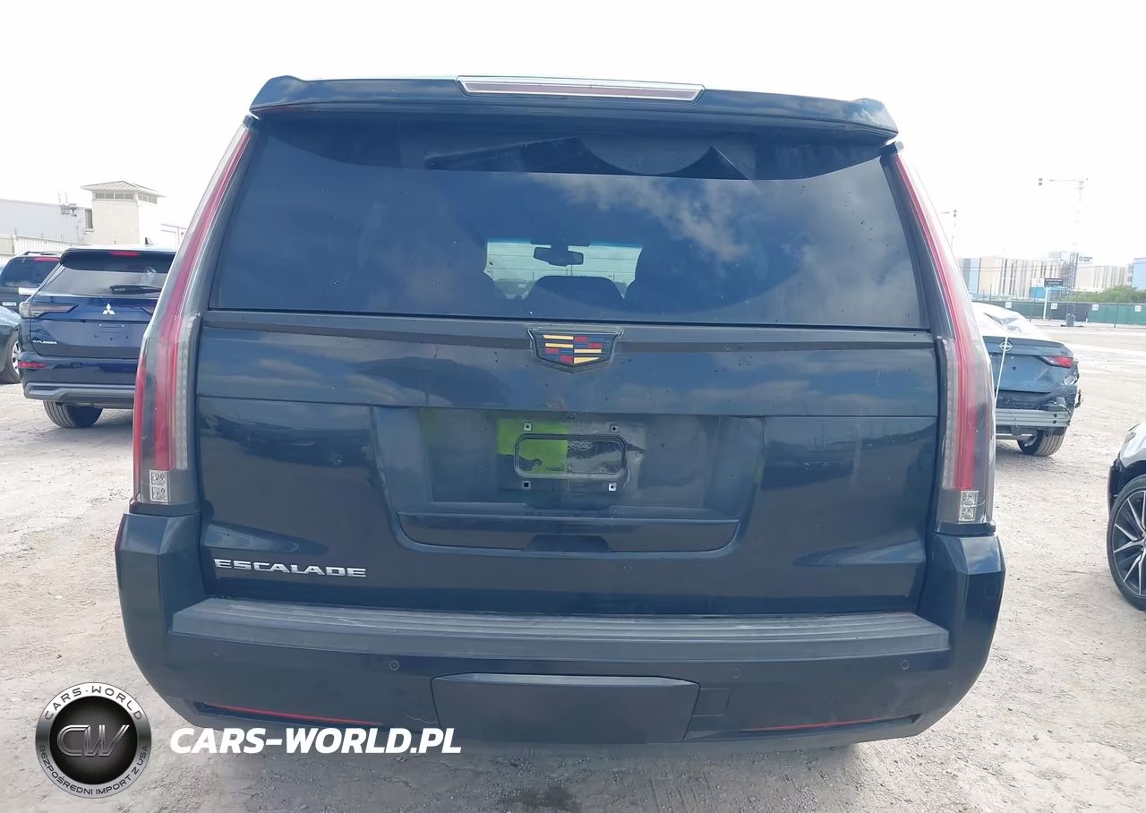 2016 Cadillac Escalade Standard VIN:1GYS3AKJ2GR248780 - 16