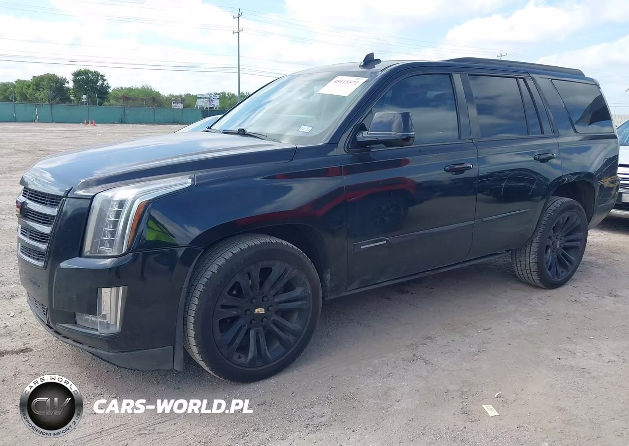 2016 Cadillac Escalade Standard VIN:1GYS3AKJ2GR248780 - 2