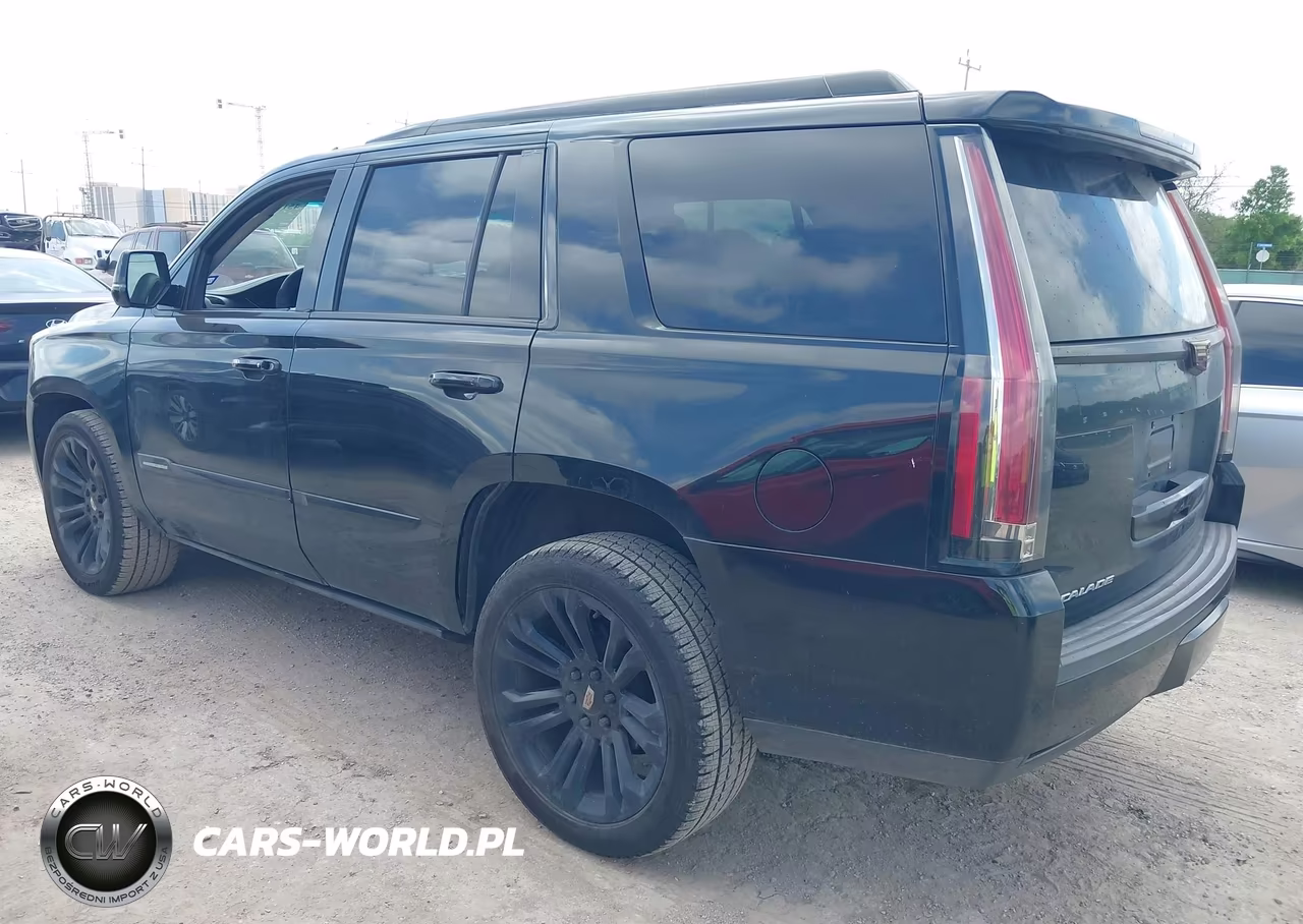 2016 Cadillac Escalade Standard VIN:1GYS3AKJ2GR248780 - 3