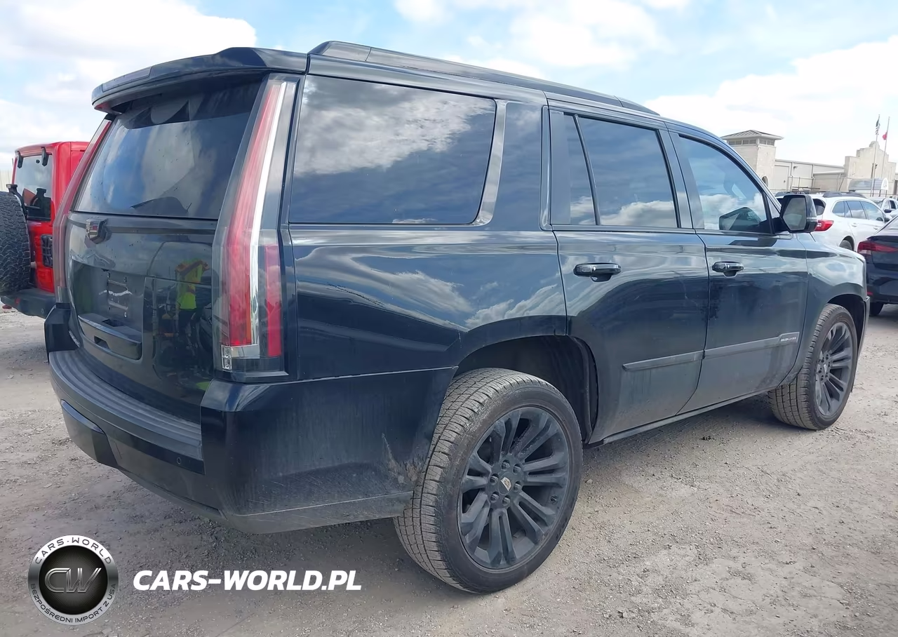 2016 Cadillac Escalade Standard VIN:1GYS3AKJ2GR248780 - 4