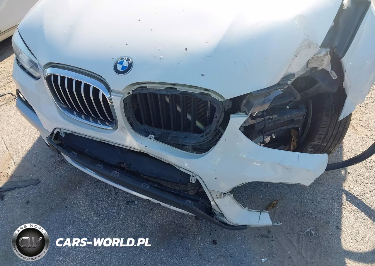 2019 BMW X3 Sdrive30I VIN:5UXTR7C57KLA48570 - 20