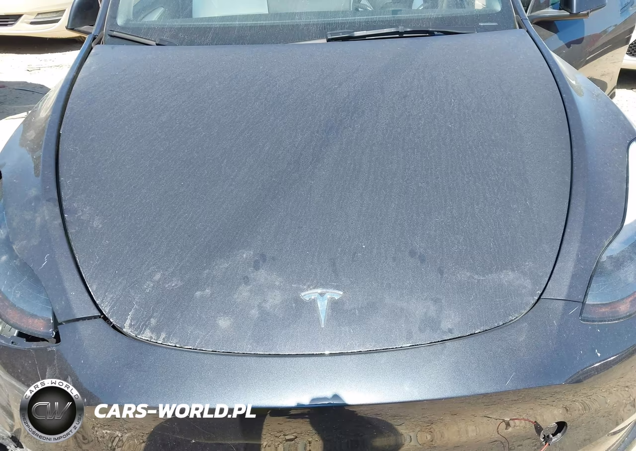 2024 Tesla Model Y Long Range Dual Motor All-Wheel Drive VIN:7SAYGAEEXRF106806 - 10