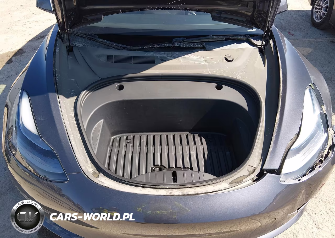 2023 Tesla Model 3 Rear-Wheel Drive VIN:5YJ3E1EA6PF680231 - 10