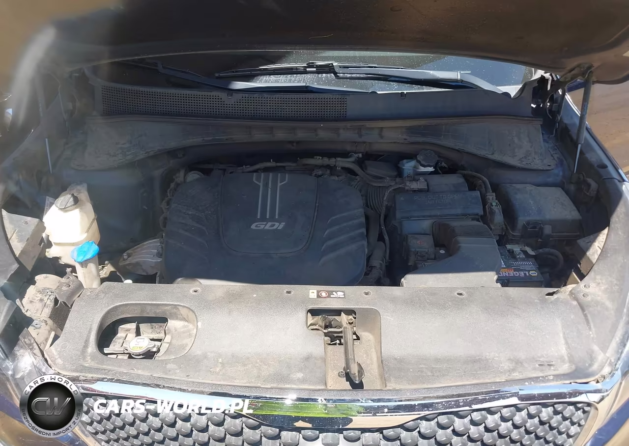2017 Kia Sorento 3.3L Lx VIN:5XYPGDA51HG334135 - 10
