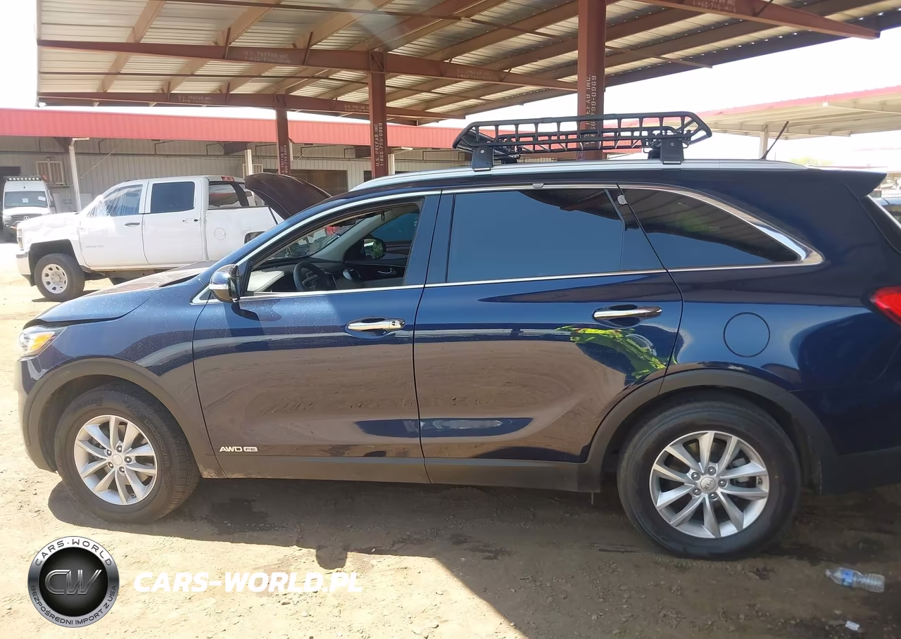 2017 Kia Sorento 3.3L Lx VIN:5XYPGDA51HG334135 - 14