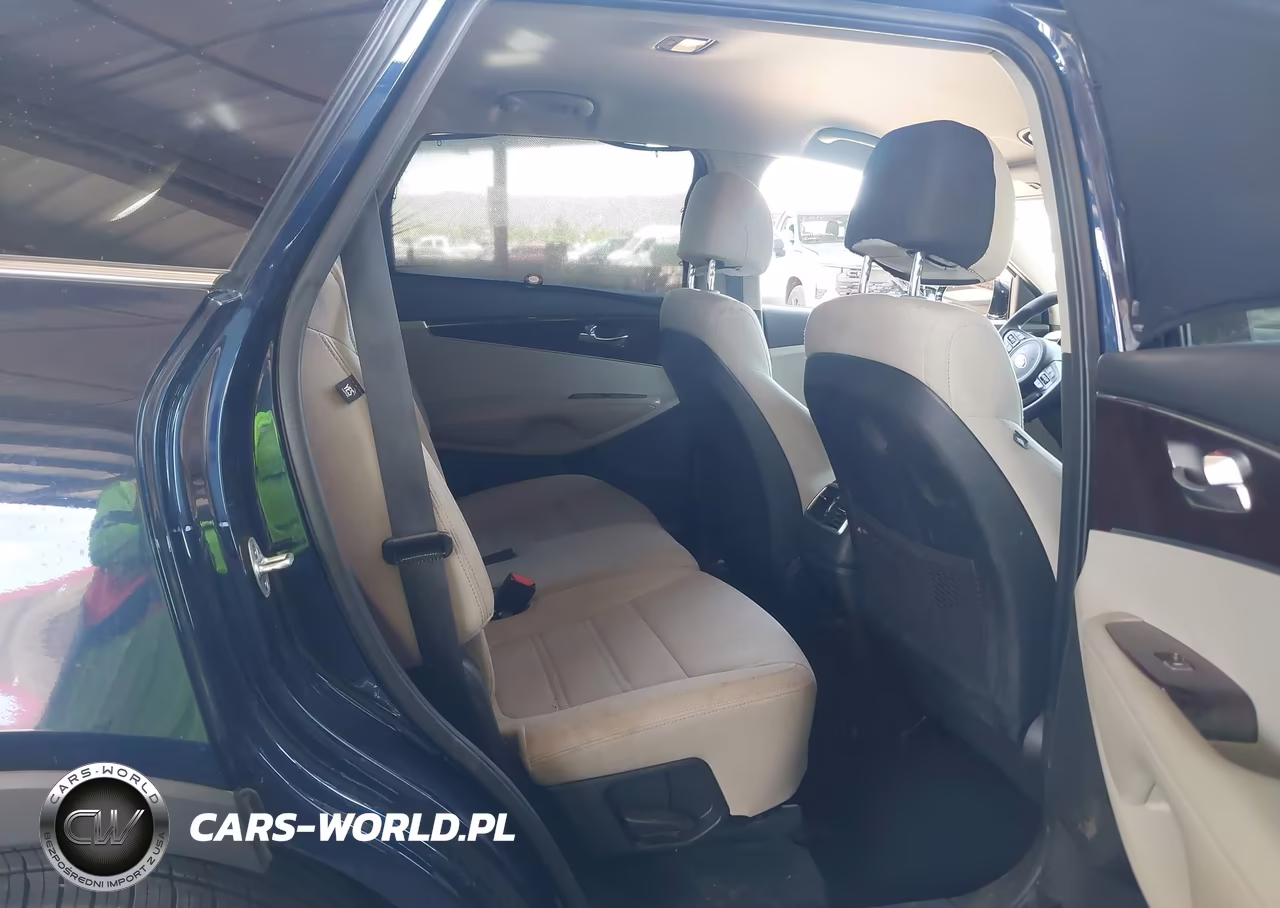 2017 Kia Sorento 3.3L Lx VIN:5XYPGDA51HG334135 - 8