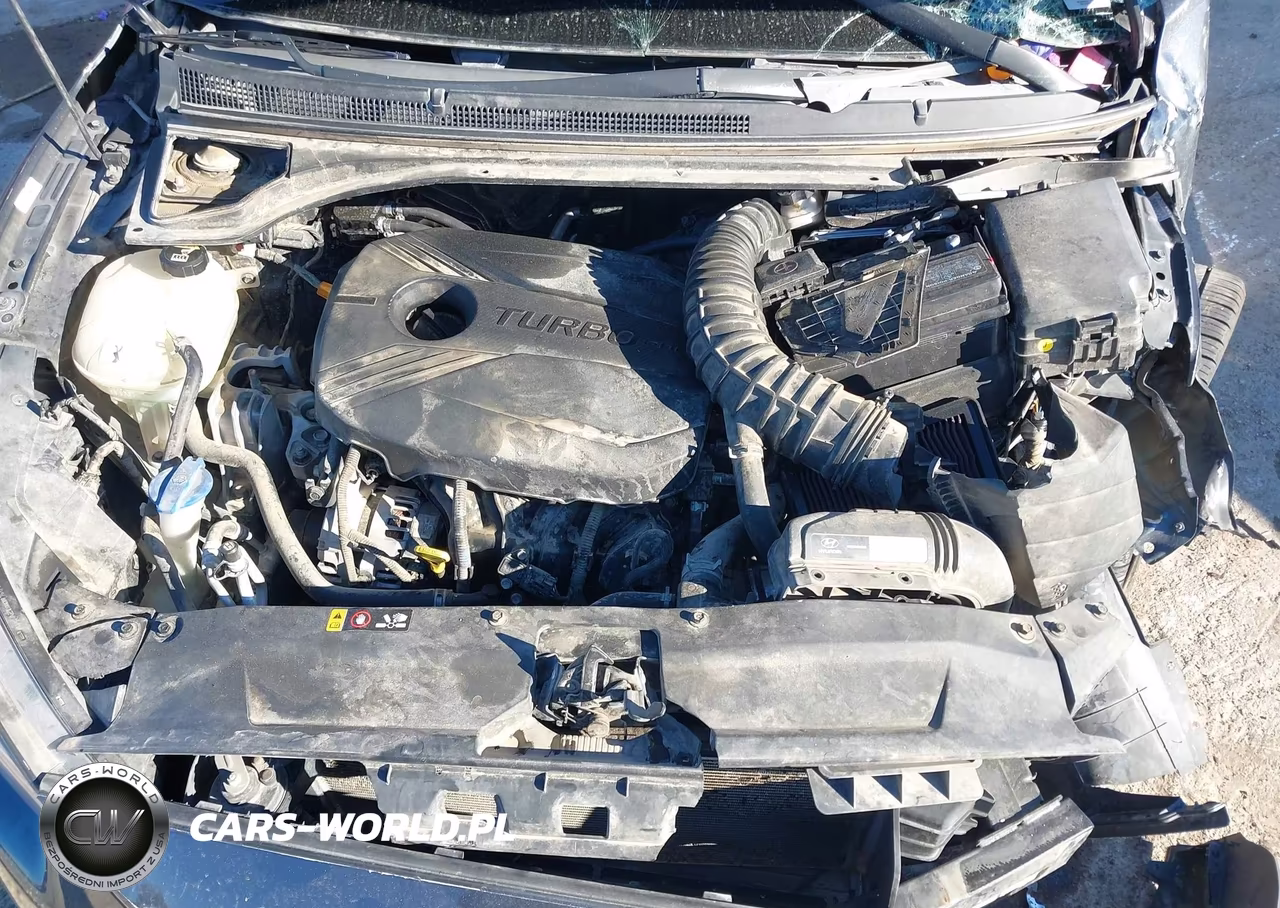 2019 Hyundai Veloster Turbo Ultimate VIN:KMHTH6AB3KU014278 - 10
