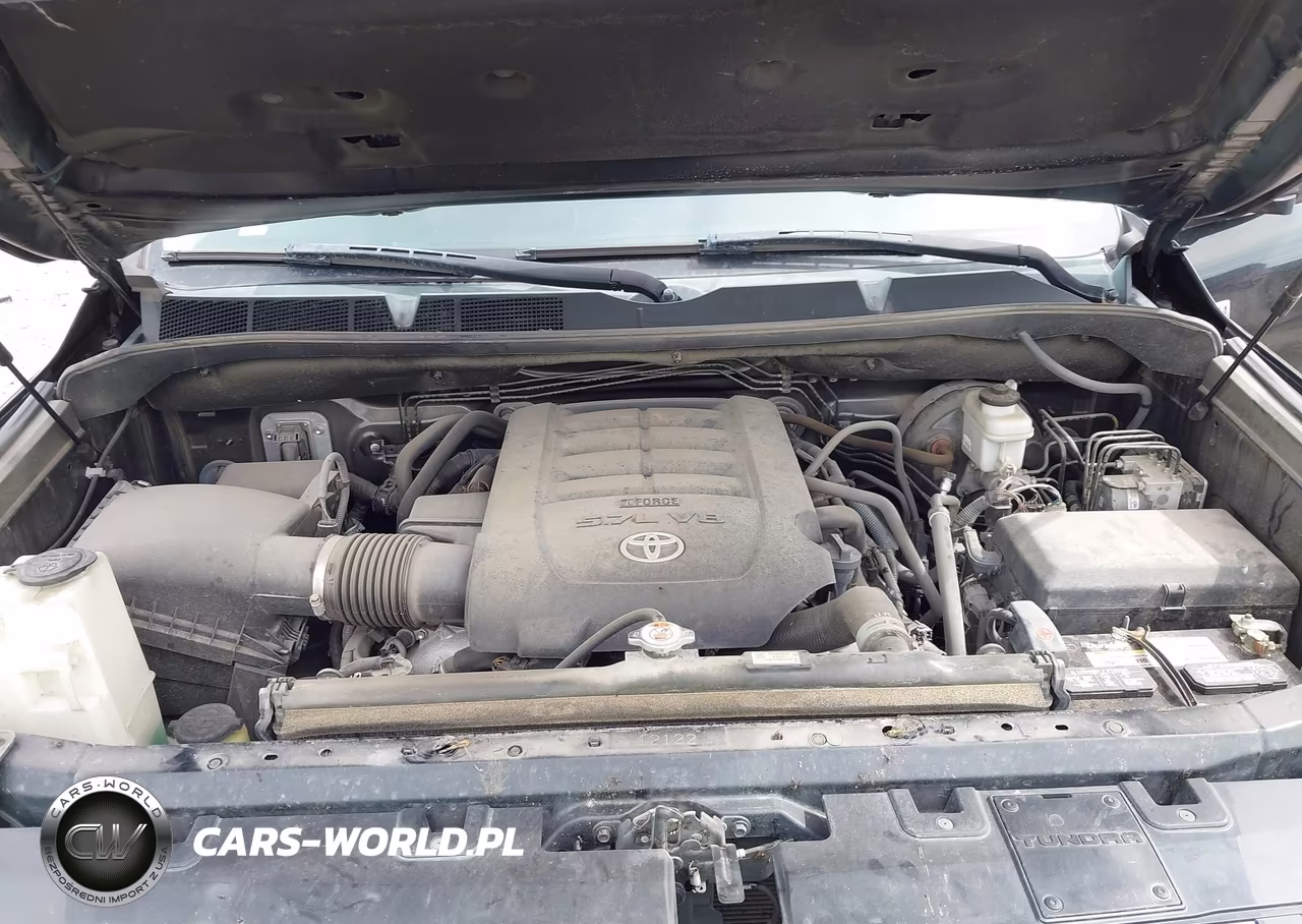 2021 Toyota Tundra Platinum VIN:5TFAY5F15MX024933 - 10