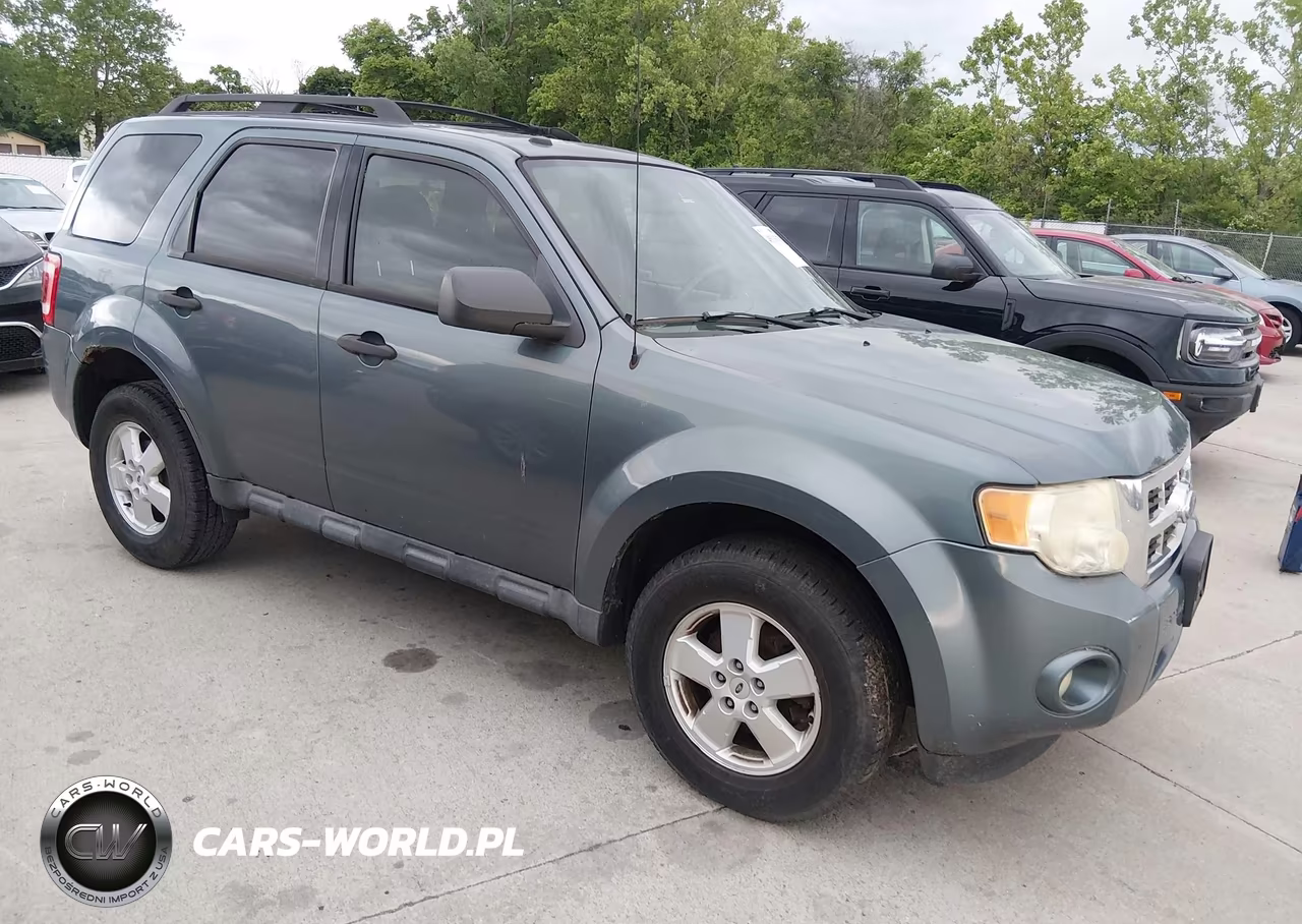 2010 Ford Escape Xlt
