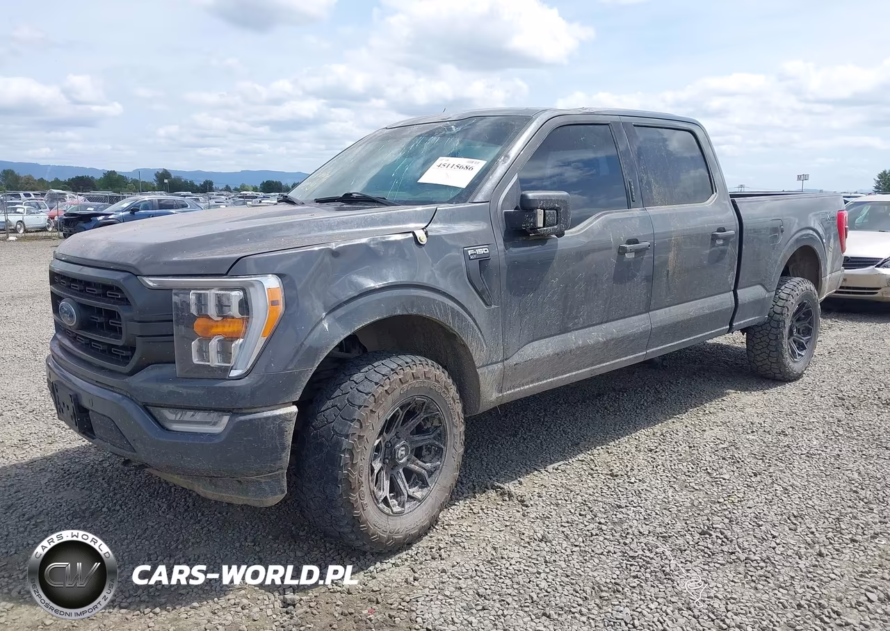 2021 Ford F-150 Xlt VIN:1FTFW1E81MFB54815 - 2